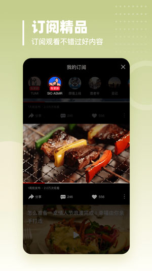 油果浏览器app