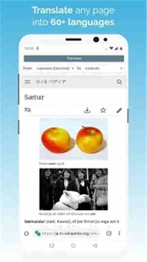 kiwi浏览器app苹果下载