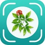 植物百科手机版
