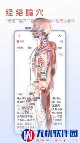 3dbody人体解剖学