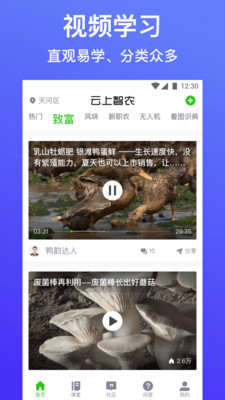 云上智农网页版app