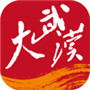 大武汉app投票