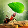 小蚂蚁部落游戏安卓手机版
