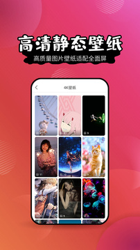 壁纸精灵app2020最新版v6.1.4