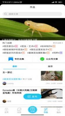 昆虫百科最新版app 
